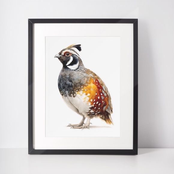 Watercolor Quail Wall Art Print, Unframed - Vibrant Nature-Inspired Home Decor - Picture 3 of 6